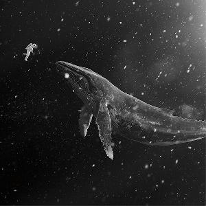 EXO singforyou 中国版　韓国版　9点　セット EXO singforyou 中国版 韓国版 9点 セット EXO singforyou 中国