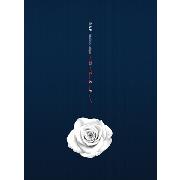 B.A.P Rose Aバージョン B.A.P - [ROSE] (6th Single Album A Version) – kpopalbums.com