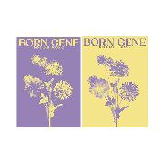 [新品未開封]ジェジュン BORN GENE CD セット　カードポスター付 新品未開封]ジェジュン BORN GENE CD セット カードポスター付